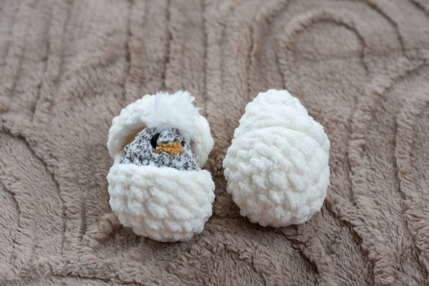 Hatching Chicks