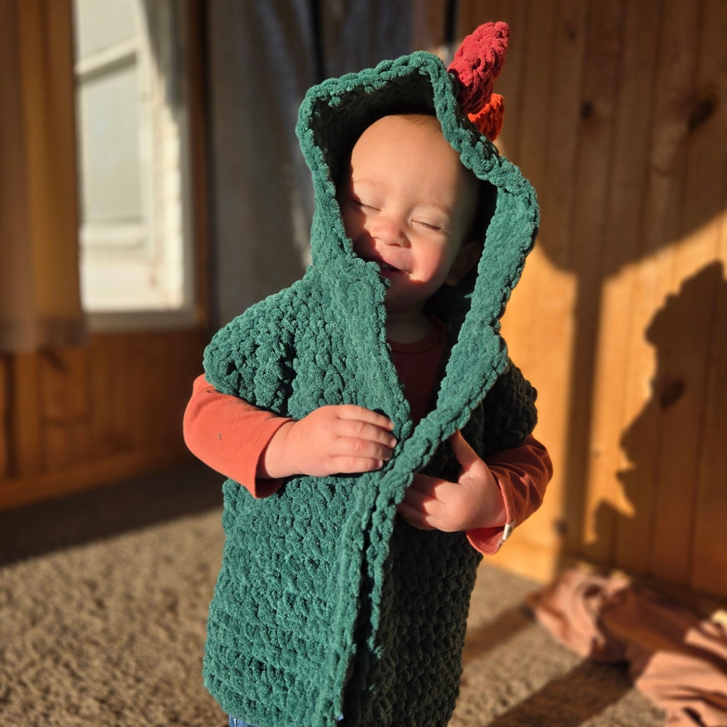 Rainbow Dino Vest