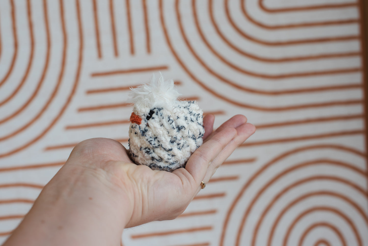 Hatching Chicks