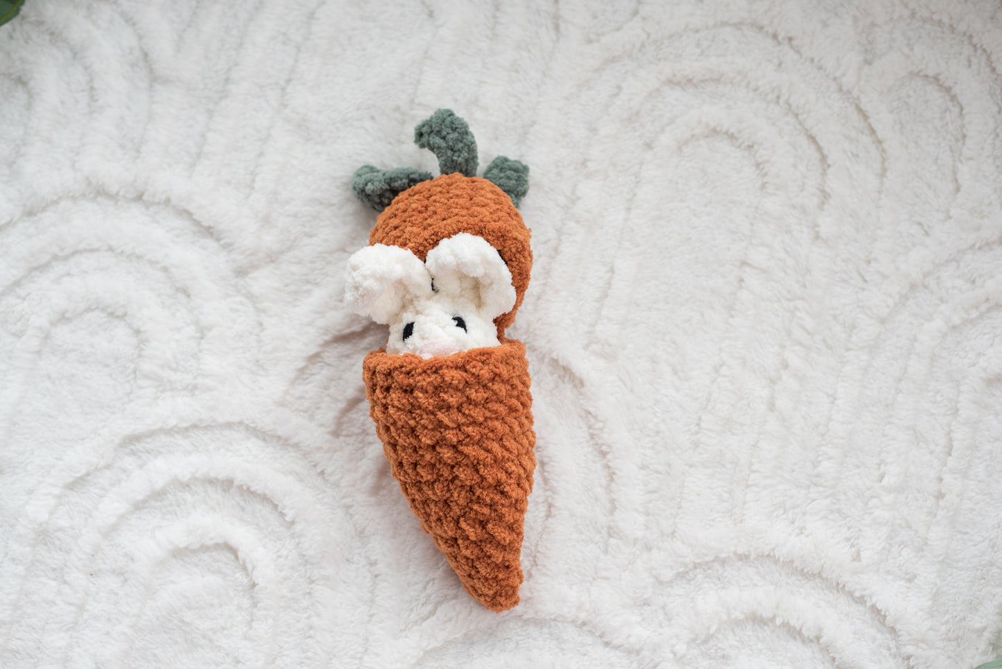Hatching Carrot with Bunny
