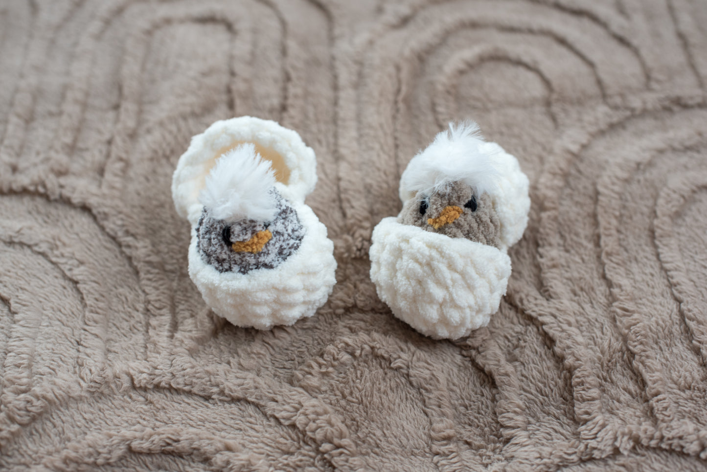 Hatching Chicks