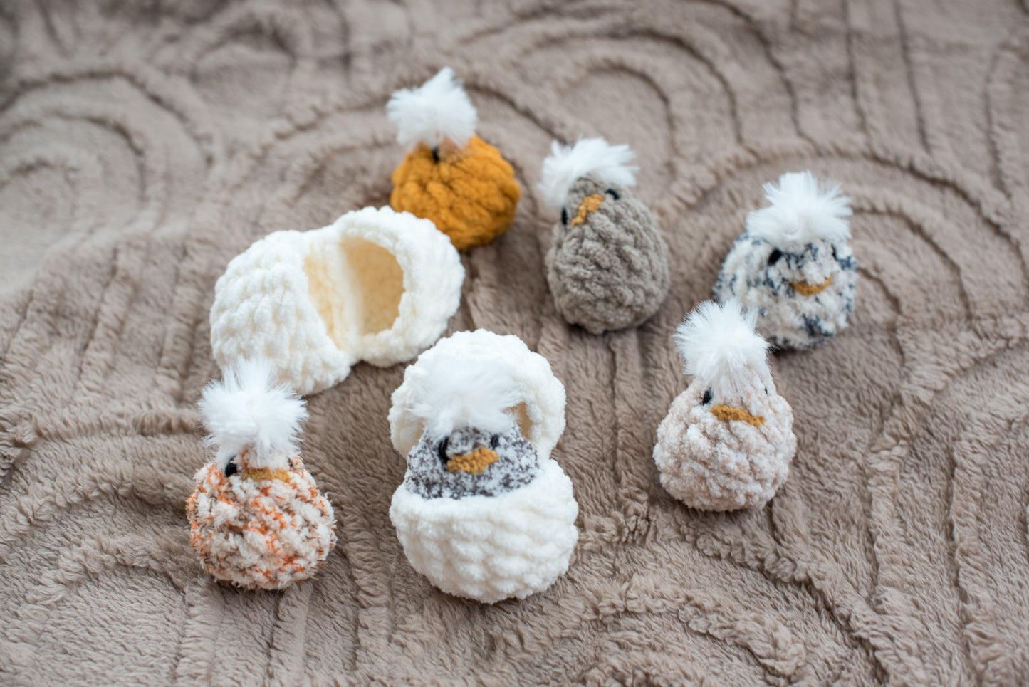 Hatching Chicks