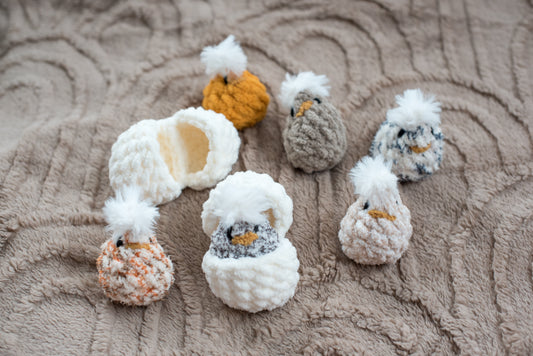 Hatching Chicks