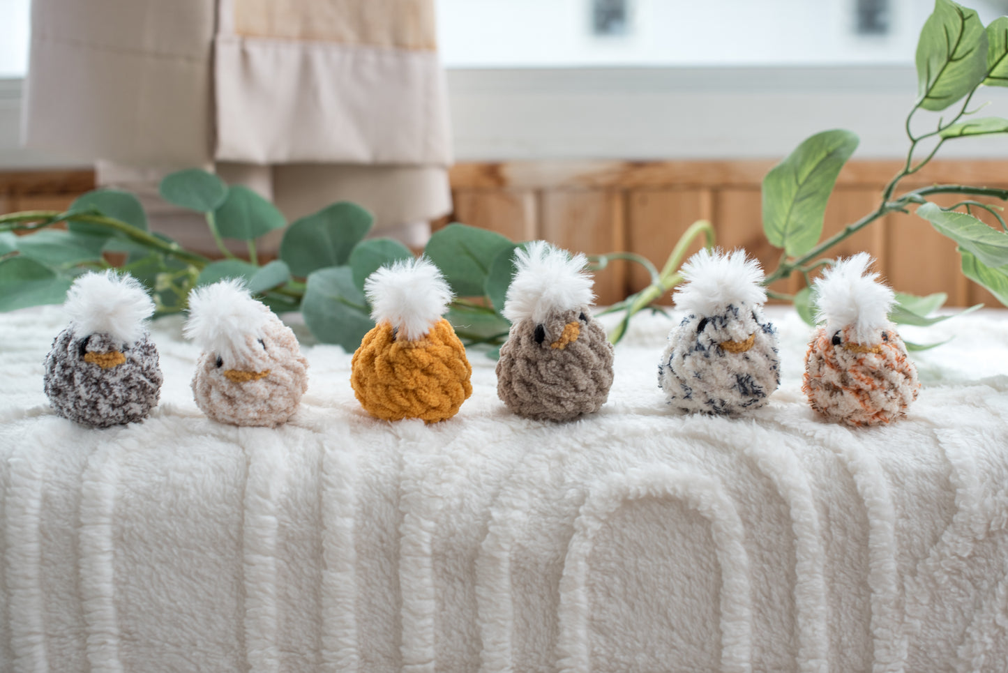 Hatching Chicks