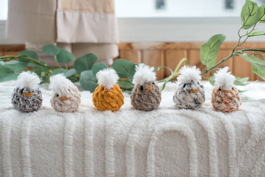 Chicks (Pack of 3)
