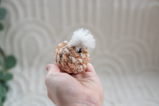 Chicks (Pack of 3)